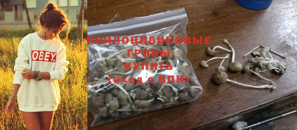 твердый Белокуриха