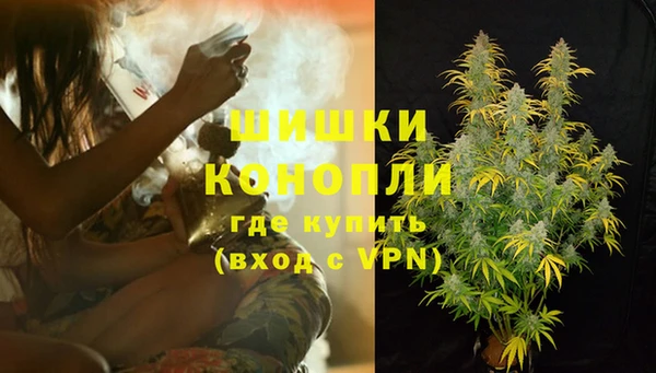 гашик Белоозёрский